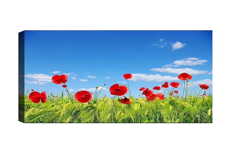 Canvastavla YTY Floral & Botanical Flerfärgad, 120x50 cm