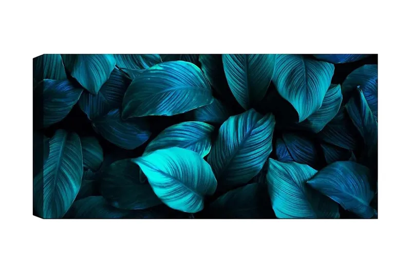 Canvastavla YTY Floral & Botanical Flerfärgad, 120x50 cm