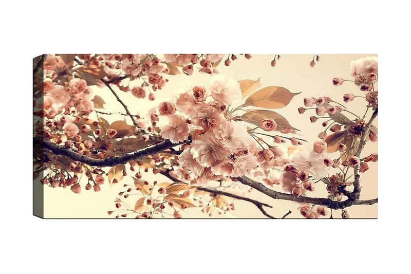 Canvastavla YTY Floral & Botanical Flerfärgad, 120x50 cm