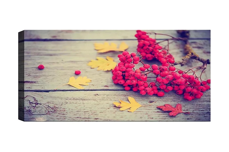 Canvastavla YTY Floral & Botanical Flerfärgad, 120x50 cm