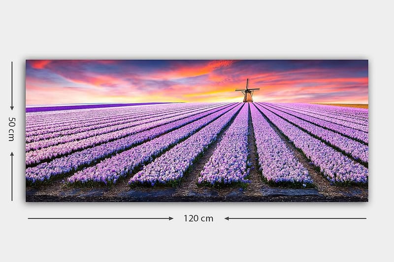 Canvastavla YTY Floral & Botanical Flerfärgad - 120x50 cm - Inredning - Tavlor & konst - Canvastavlor