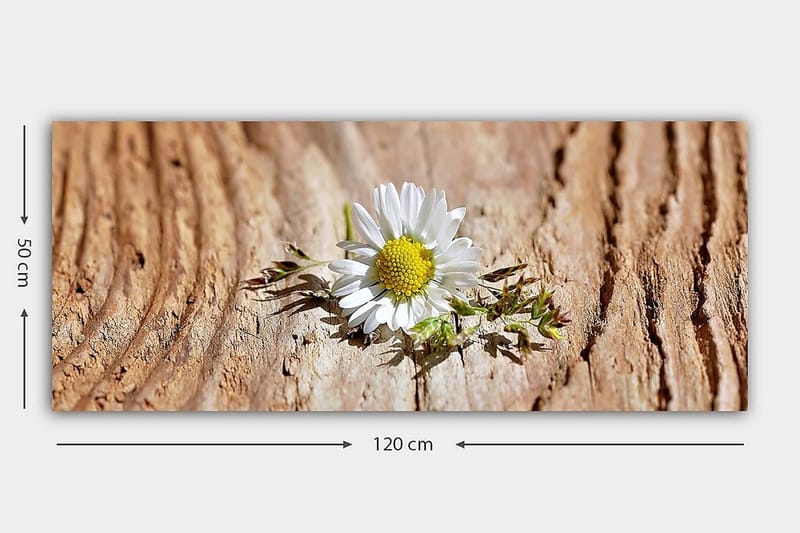 Canvastavla YTY Floral & Botanical Flerfärgad - 120x50 cm - Inredning - Tavlor & konst - Canvastavlor