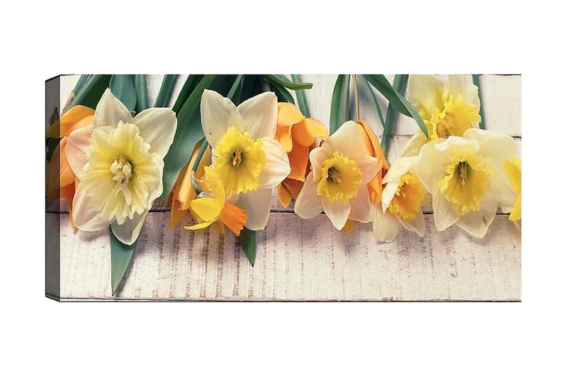 Canvastavla YTY Floral & Botanical Flerfärgad, 120x50 cm