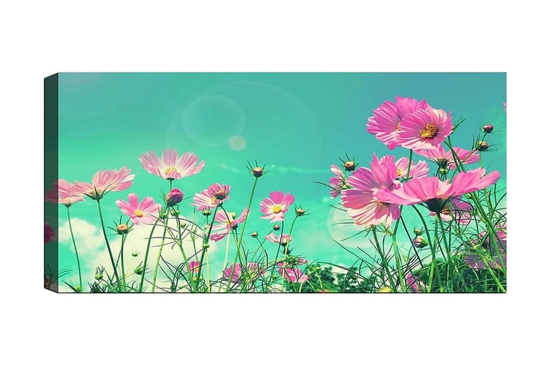 Canvastavla YTY Floral & Botanical Flerfärgad, 120x50 cm