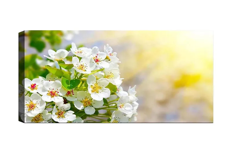 Canvastavla YTY Floral & Botanical Flerfärgad, 120x50 cm