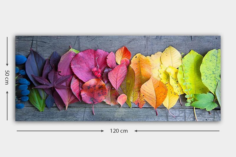 Canvastavla YTY Floral & Botanical Flerfärgad - 120x50 cm - Inredning - Tavlor & konst - Canvastavlor