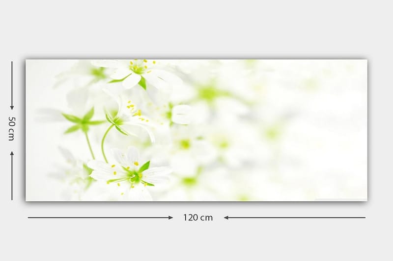 Canvastavla YTY Floral & Botanical Flerfärgad - 120x50 cm - Inredning - Tavlor & konst - Canvastavlor