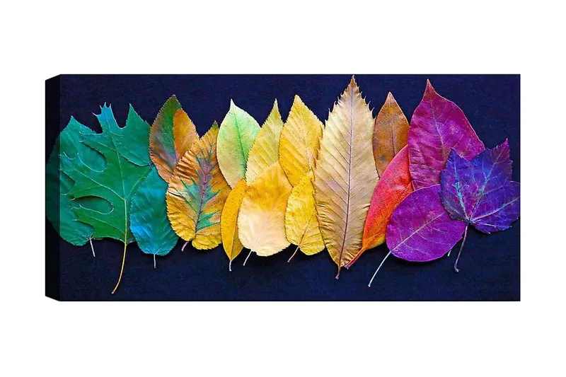 Canvastavla YTY Floral & Botanical Flerfärgad, 120x50 cm