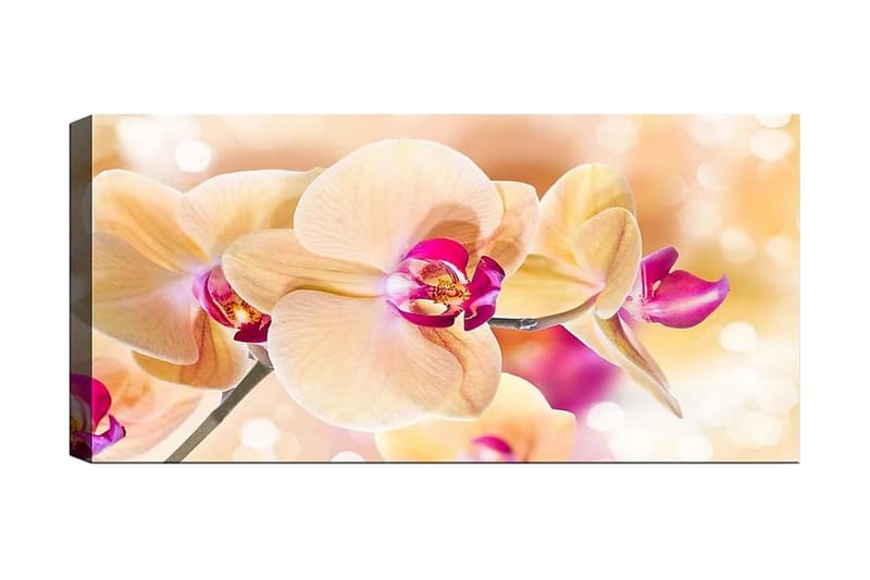 Canvastavla YTY Floral & Botanical Flerfärgad, 120x50 cm