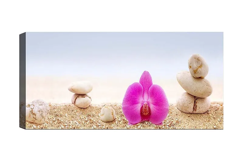 Canvastavla YTY Floral & Botanical Flerfärgad, 120x50 cm