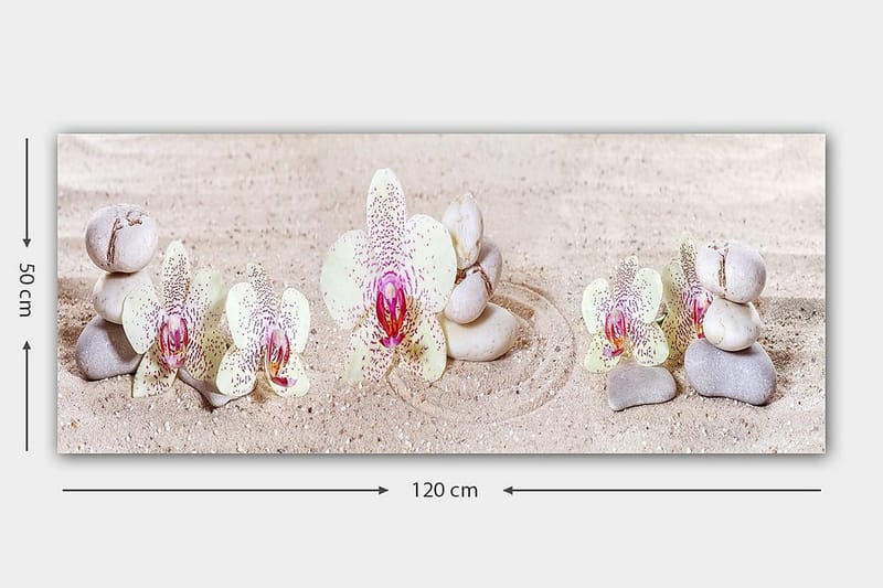 Canvastavla YTY Floral & Botanical Flerfärgad - 120x50 cm - Inredning - Tavlor & konst - Canvastavlor