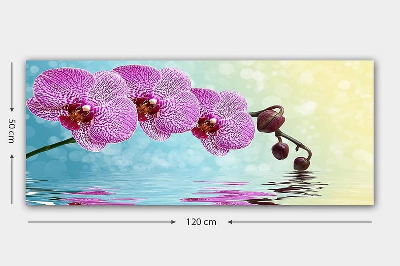 Canvastavla YTY Floral & Botanical Flerfärgad - 120x50 cm - Inredning - Tavlor & konst - Canvastavlor