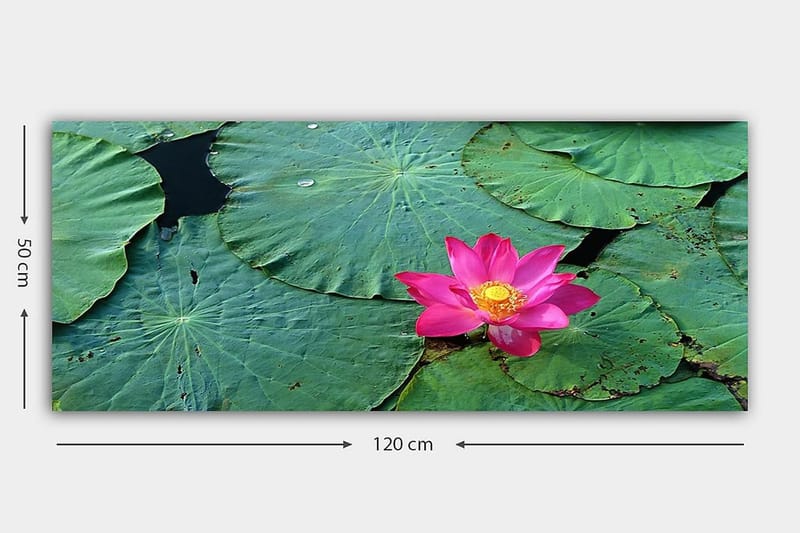 Canvastavla YTY Floral & Botanical Flerfärgad - 120x50 cm - Inredning - Tavlor & konst - Canvastavlor