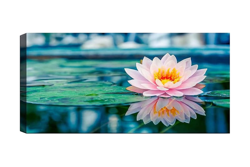 Canvastavla YTY Floral & Botanical Flerfärgad, 120x50 cm