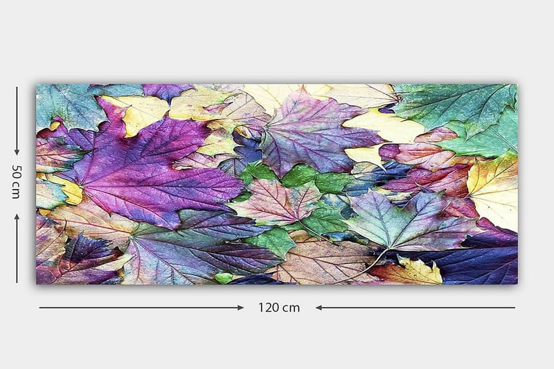 Canvastavla YTY Floral & Botanical Flerfärgad - 120x50 cm - Inredning - Tavlor & konst - Canvastavlor