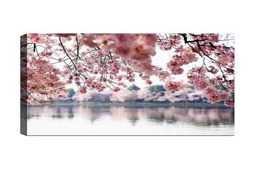 Canvastavla YTY Floral & Botanical Flerfärgad - 120x50 cm - Inredning - Tavlor & konst - Canvastavlor