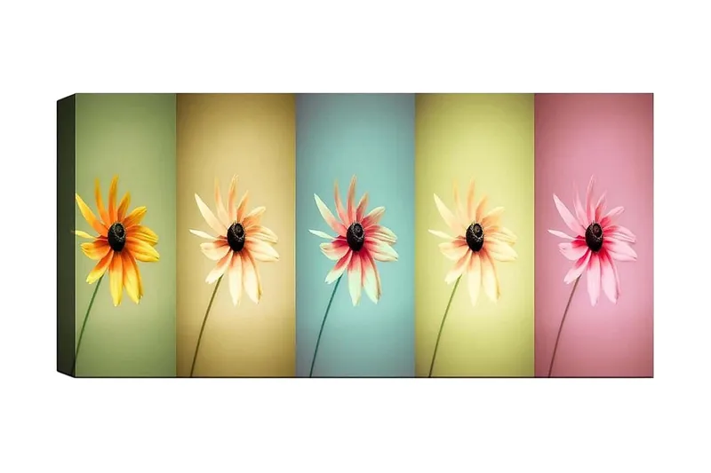 Canvastavla YTY Floral & Botanical Flerfärgad, 120x50 cm