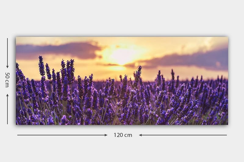 Canvastavla YTY Floral & Botanical Flerfärgad - 120x50 cm - Inredning - Tavlor & konst - Canvastavlor