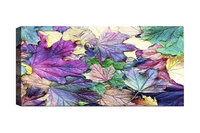 Canvastavla YTY Floral & Botanical Flerfärgad, 120x50 cm