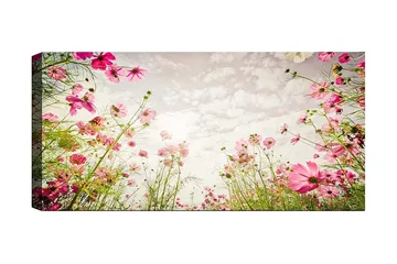 Canvastavla YTY Floral & Botanical Flerfärgad - 120x50 cm - Inredning - Tavlor & konst - Canvastavlor