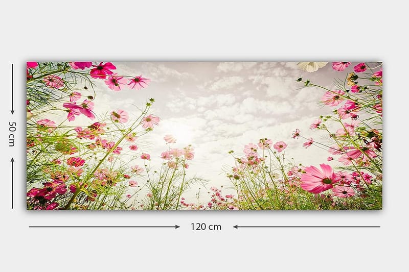 Canvastavla YTY Floral & Botanical Flerfärgad - 120x50 cm - Inredning - Tavlor & konst - Canvastavlor