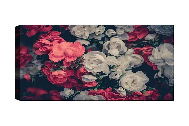 Canvastavla YTY Floral & Botanical Flerfärgad, 120x50 cm
