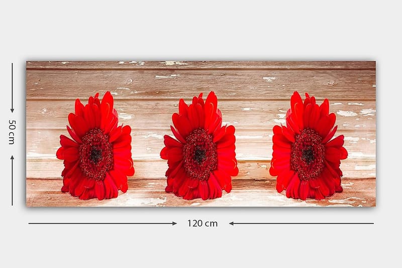 Canvastavla YTY Floral & Botanical Flerfärgad - 120x50 cm - Inredning - Tavlor & konst - Canvastavlor