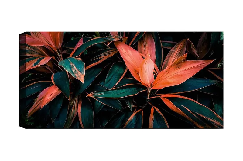 Canvastavla YTY Floral & Botanical Flerfärgad, 120x50 cm