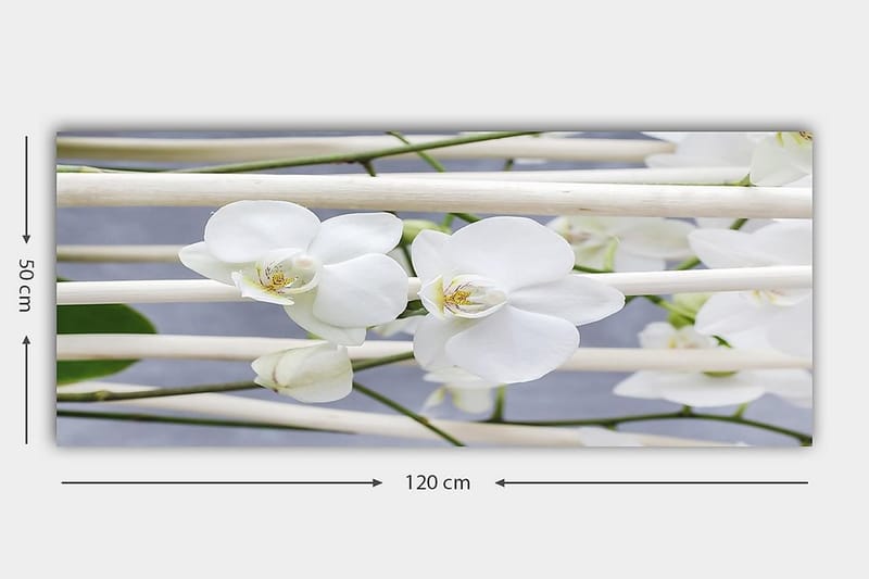 Canvastavla YTY Floral & Botanical Flerfärgad - 120x50 cm - Inredning - Tavlor & konst - Canvastavlor