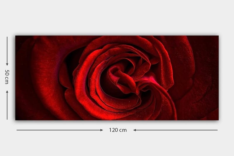 Canvastavla YTY Floral & Botanical Flerfärgad - 120x50 cm - Inredning - Tavlor & konst - Canvastavlor