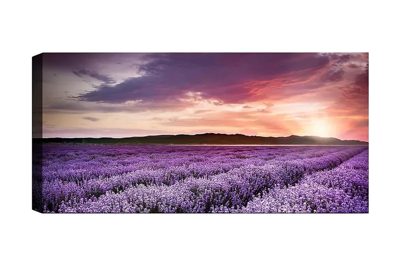 Canvastavla YTY Floral & Botanical Flerfärgad, 120x50 cm