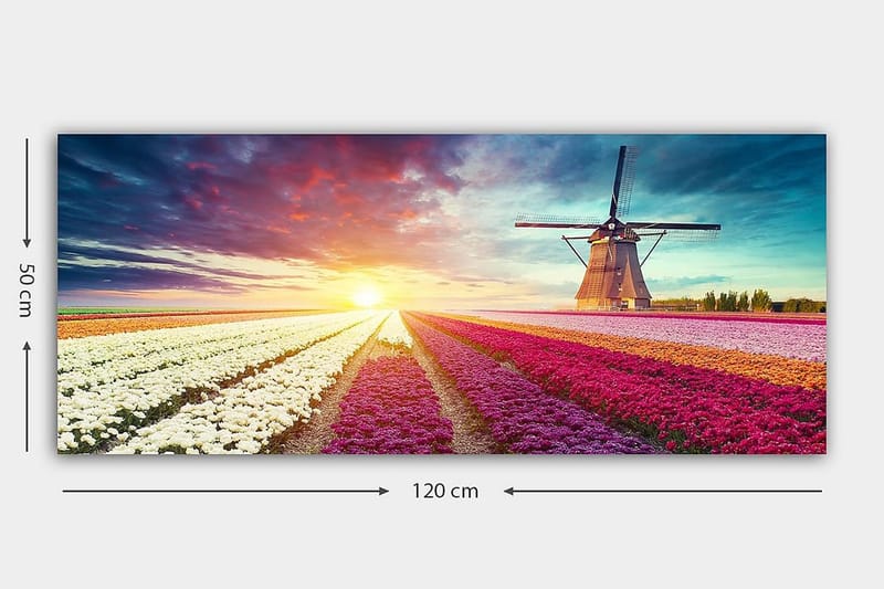 Canvastavla YTY Floral & Botanical Flerfärgad - 120x50 cm - Inredning - Tavlor & konst - Canvastavlor