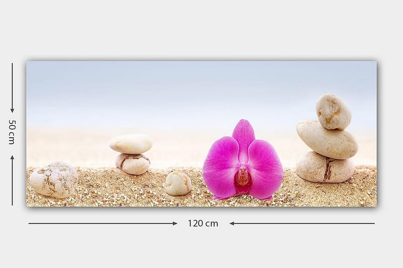 Canvastavla YTY Floral & Botanical Flerfärgad - 120x50 cm - Inredning - Tavlor & konst - Canvastavlor