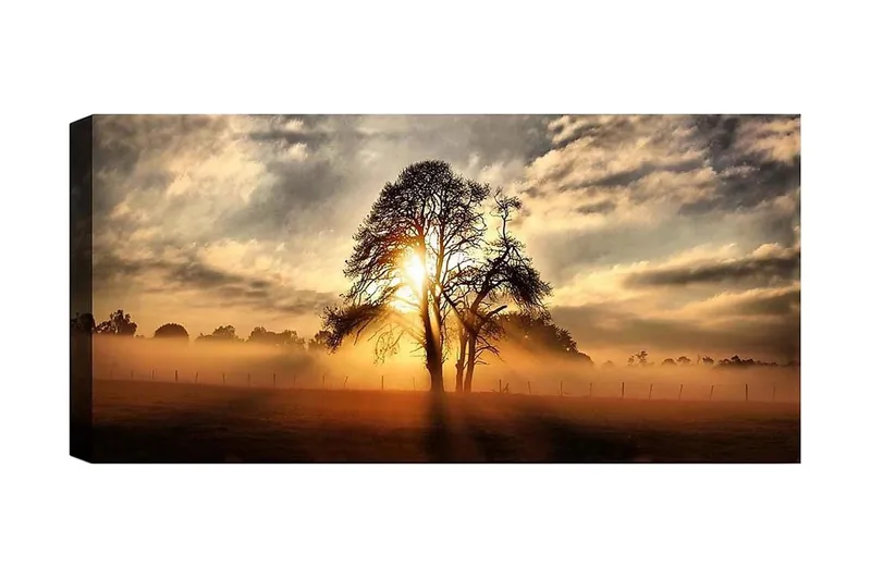 Canvastavla YTY Landscape & Nature Flerfärgad, 120x50 cm