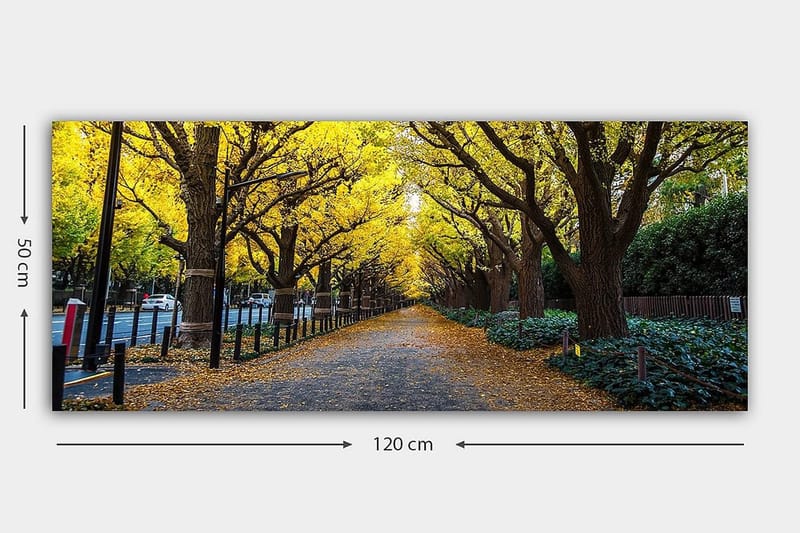 Canvastavla YTY Landscape & Nature Flerfärgad - 120x50 cm - Inredning - Tavlor & konst - Canvastavlor