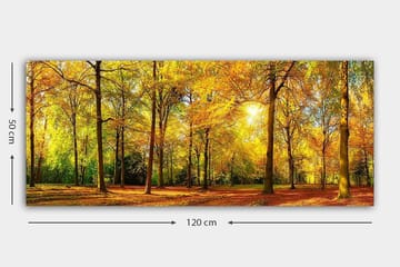 Canvastavla YTY Landscape & Nature Flerfärgad - 120x50 cm - Inredning - Tavlor & konst - Canvastavlor