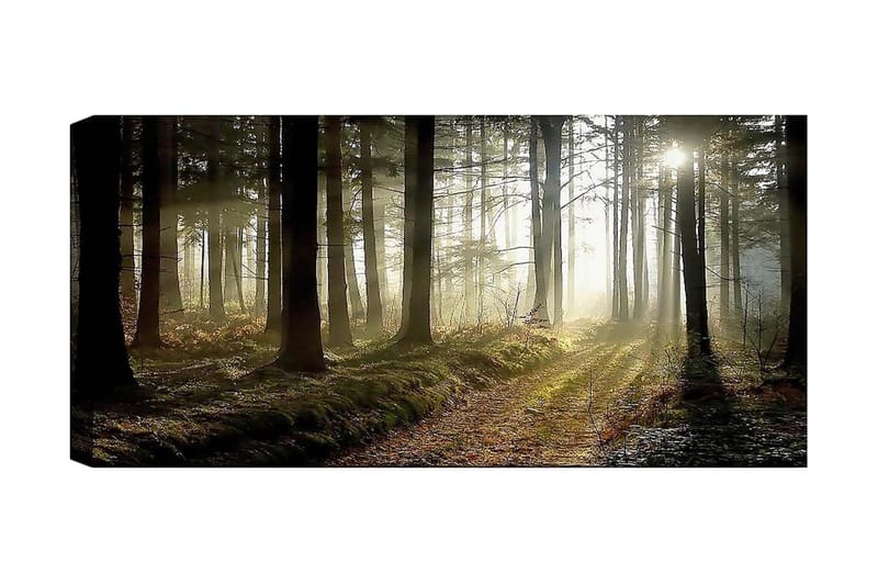 Canvastavla YTY Landscape & Nature Flerfärgad - 120x50 cm - Inredning - Tavlor & konst - Canvastavlor