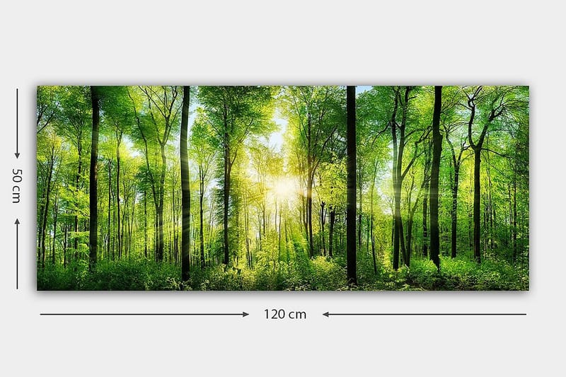 Canvastavla YTY Landscape & Nature Flerfärgad - 120x50 cm - Inredning - Tavlor & konst - Canvastavlor
