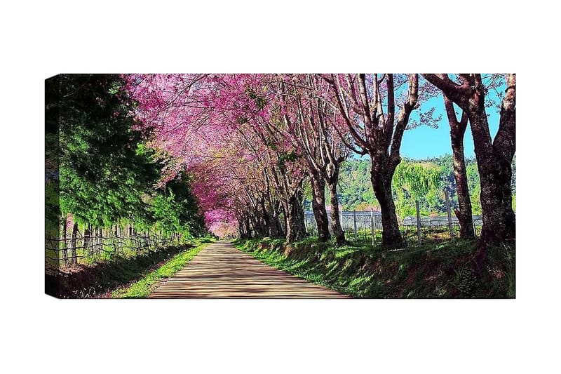 Canvastavla YTY Landscape & Nature Flerfärgad - 120x50 cm - Inredning - Tavlor & konst - Canvastavlor