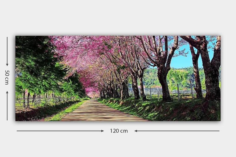 Canvastavla YTY Landscape & Nature Flerfärgad - 120x50 cm - Inredning - Tavlor & konst - Canvastavlor