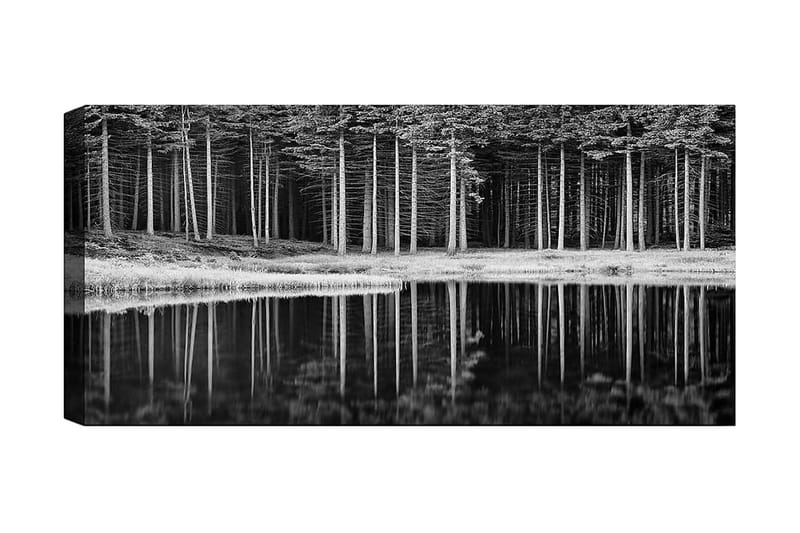 Canvastavla YTY Landscape & Nature Flerfärgad - 120x50 cm - Inredning - Tavlor & konst - Canvastavlor