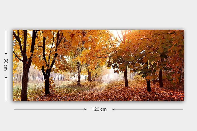 Canvastavla YTY Landscape & Nature Flerfärgad - 120x50 cm - Inredning - Tavlor & konst - Canvastavlor