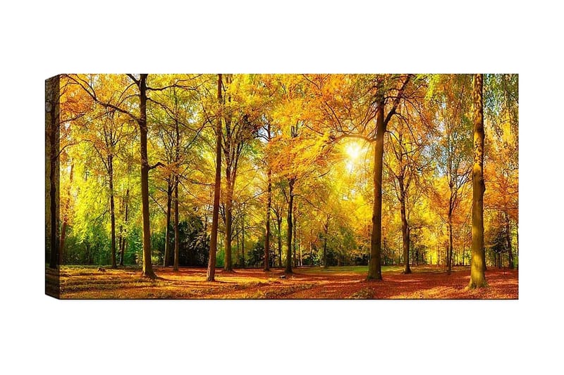 Canvastavla YTY Landscape & Nature Flerfärgad - 120x50 cm - Inredning - Tavlor & konst - Canvastavlor