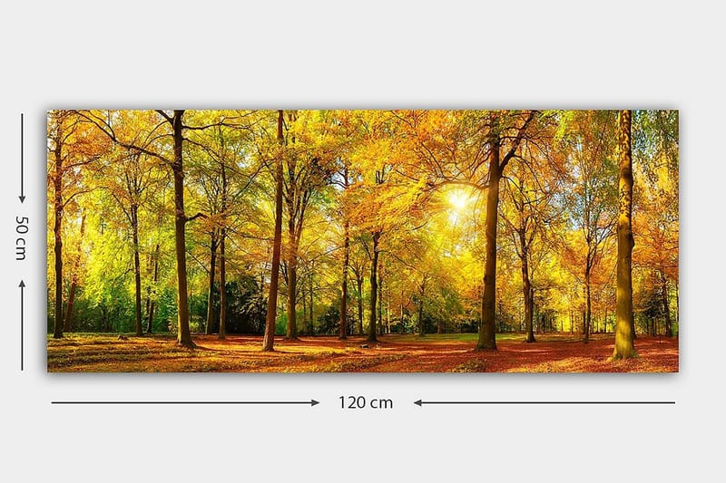 Canvastavla YTY Landscape & Nature Flerfärgad - 120x50 cm - Inredning - Tavlor & konst - Canvastavlor