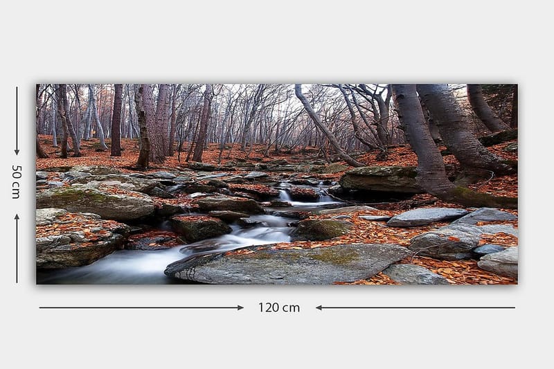 Canvastavla YTY Landscape & Nature Flerfärgad - 120x50 cm - Inredning - Tavlor & konst - Canvastavlor