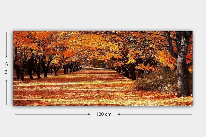 Canvastavla YTY Landscape & Nature Flerfärgad - 120x50 cm - Inredning - Tavlor & konst - Canvastavlor