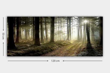 Canvastavla YTY Landscape & Nature Flerfärgad - 120x50 cm - Inredning - Tavlor & konst - Canvastavlor