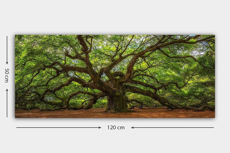 Canvastavla YTY Landscape & Nature Flerfärgad - 120x50 cm - Inredning - Tavlor & konst - Canvastavlor