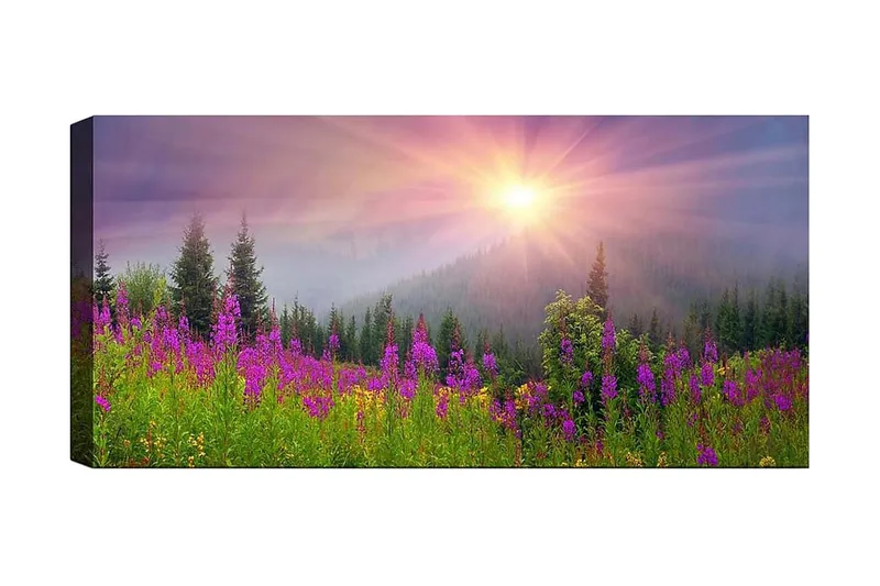Canvastavla YTY Landscape & Nature Flerfärgad, 120x50 cm