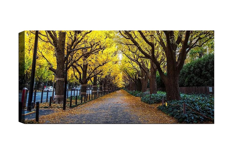 Canvastavla YTY Landscape & Nature Flerfärgad, 120x50 cm